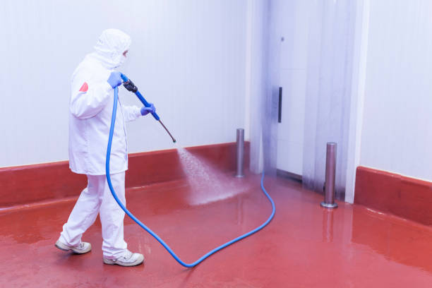 Best Graffiti Removal  in Somerville, NJ